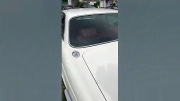 Curiosidades de Jaguar